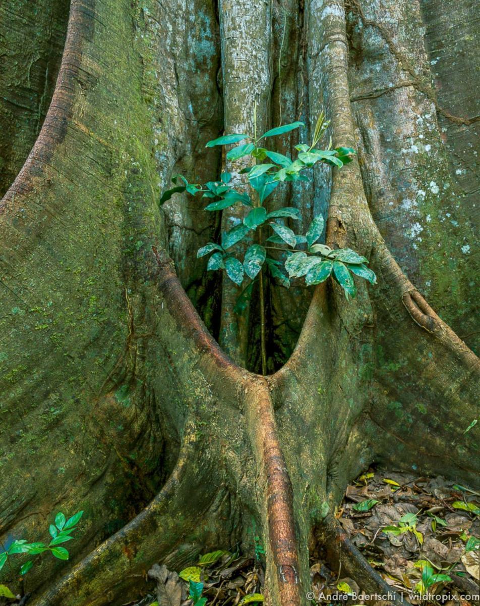 Villa Casa Amazonas Puerto Maldonado Esterno foto